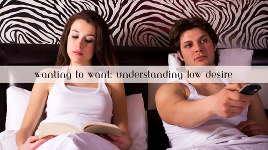 Wanting to Want - Understanding Low Desire