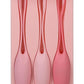 In a Bag Kegel Trainer Kit - Special Sale