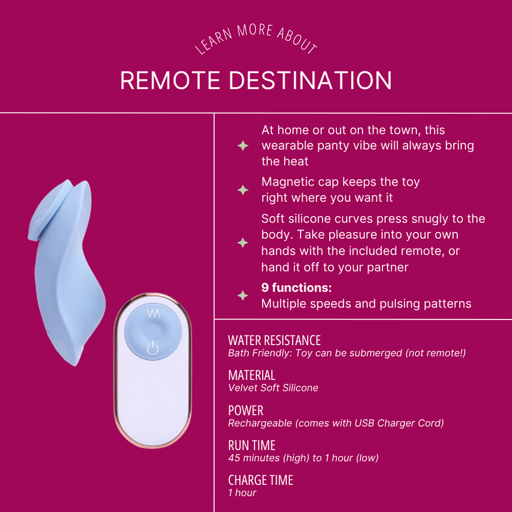 Remote Destination Panty Vibe